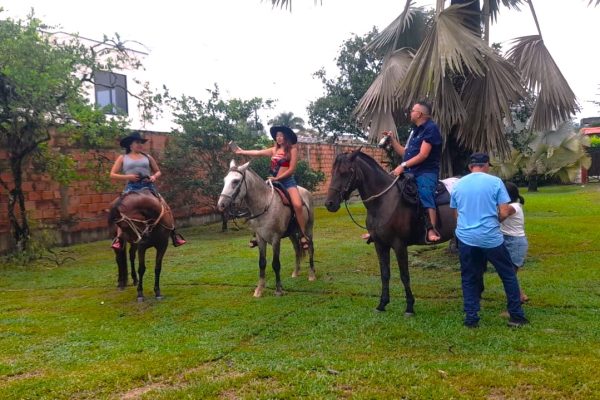 Servicio de alquiler de caballos